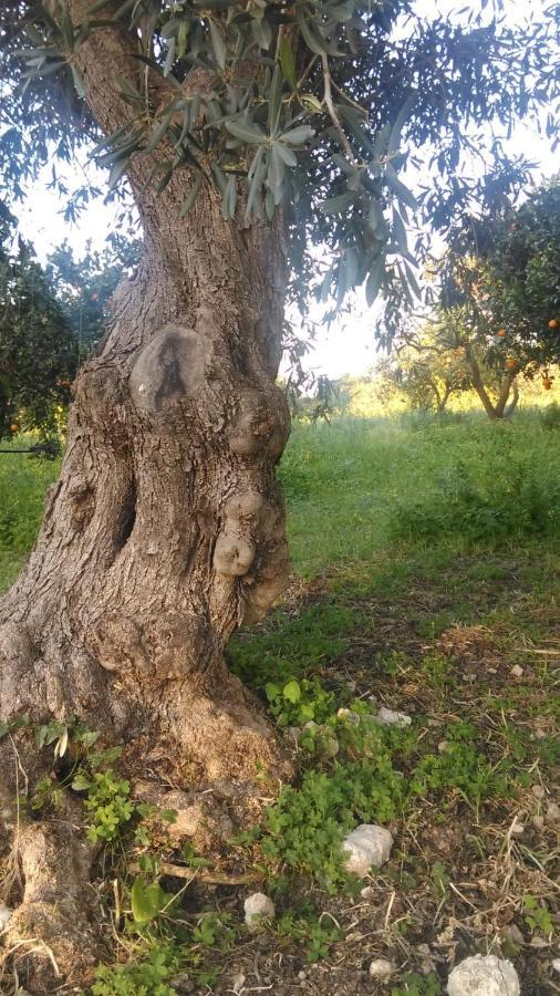 Villa Il Giardino Del Sole Agnone Bagni Exterior foto