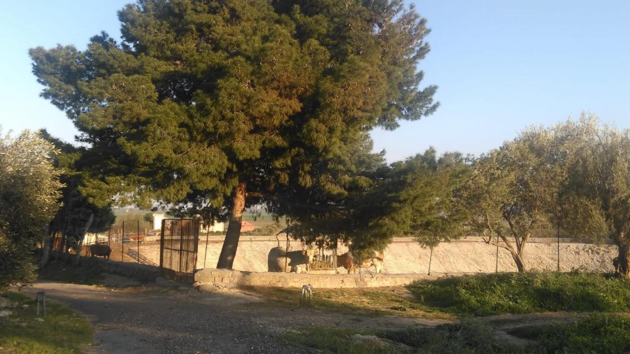 Villa Il Giardino Del Sole Agnone Bagni Exterior foto