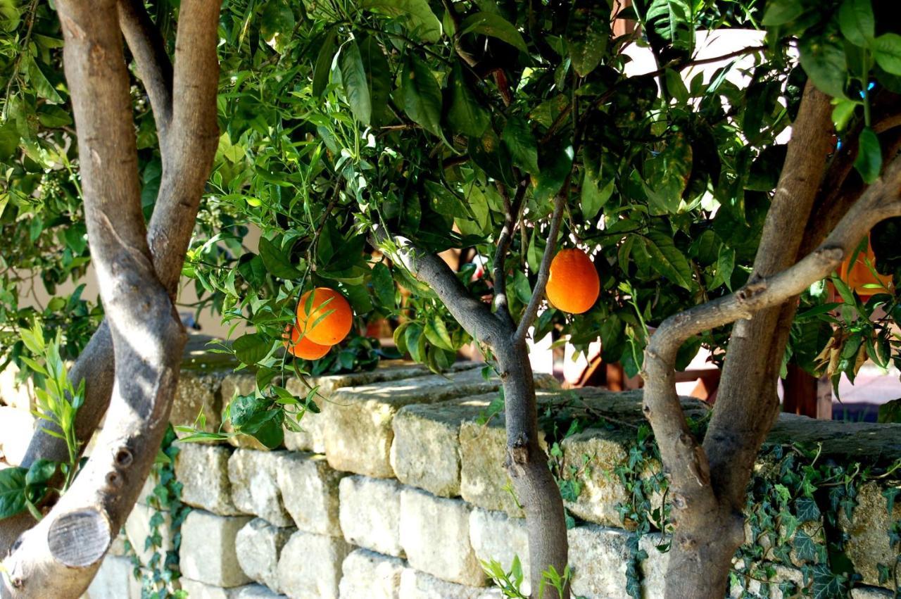 Villa Il Giardino Del Sole Agnone Bagni Exterior foto