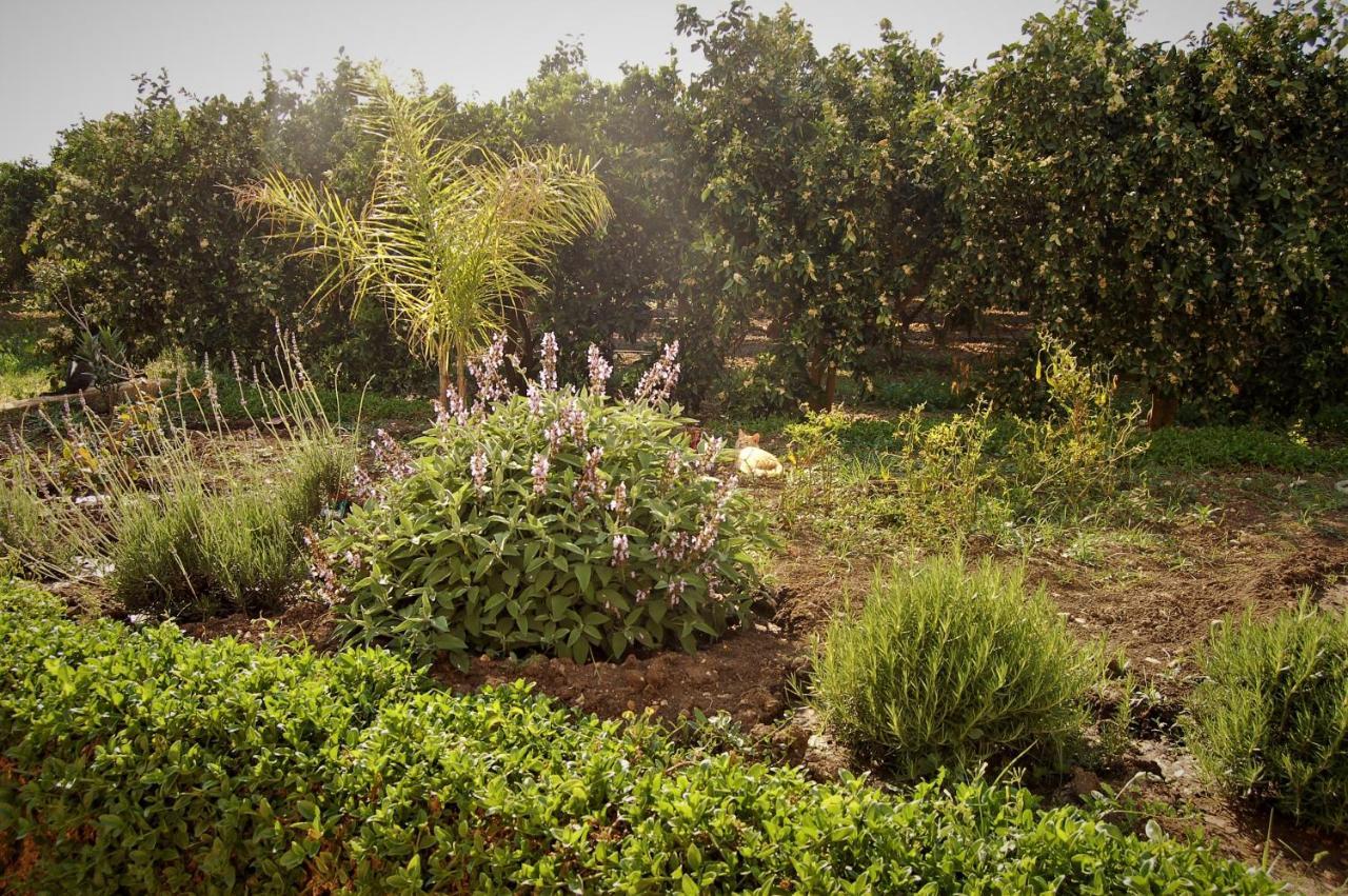 Villa Il Giardino Del Sole Agnone Bagni Exterior foto